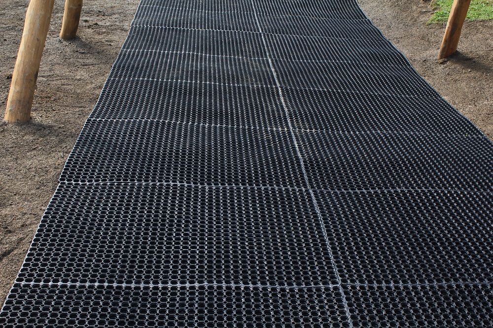 Maty przerostowe 1 img 7099 Maty przerostowe