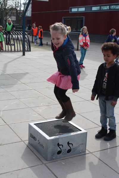 JumpStone PN90005 JumpStone PN90005