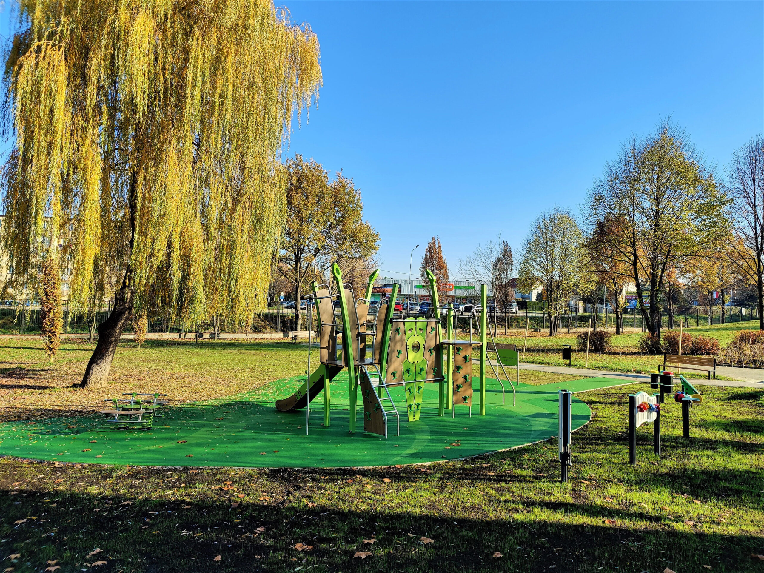 IMG_20221115_094344 IMG_20221115_094344