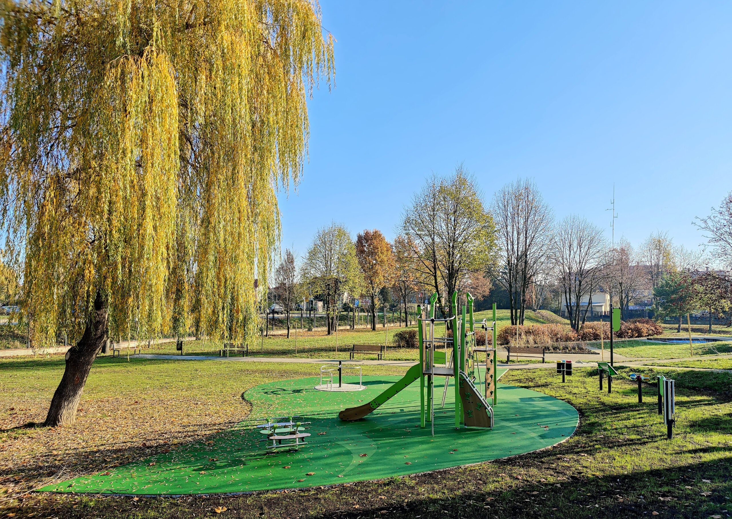 IMG_20221115_094446 IMG_20221115_094446