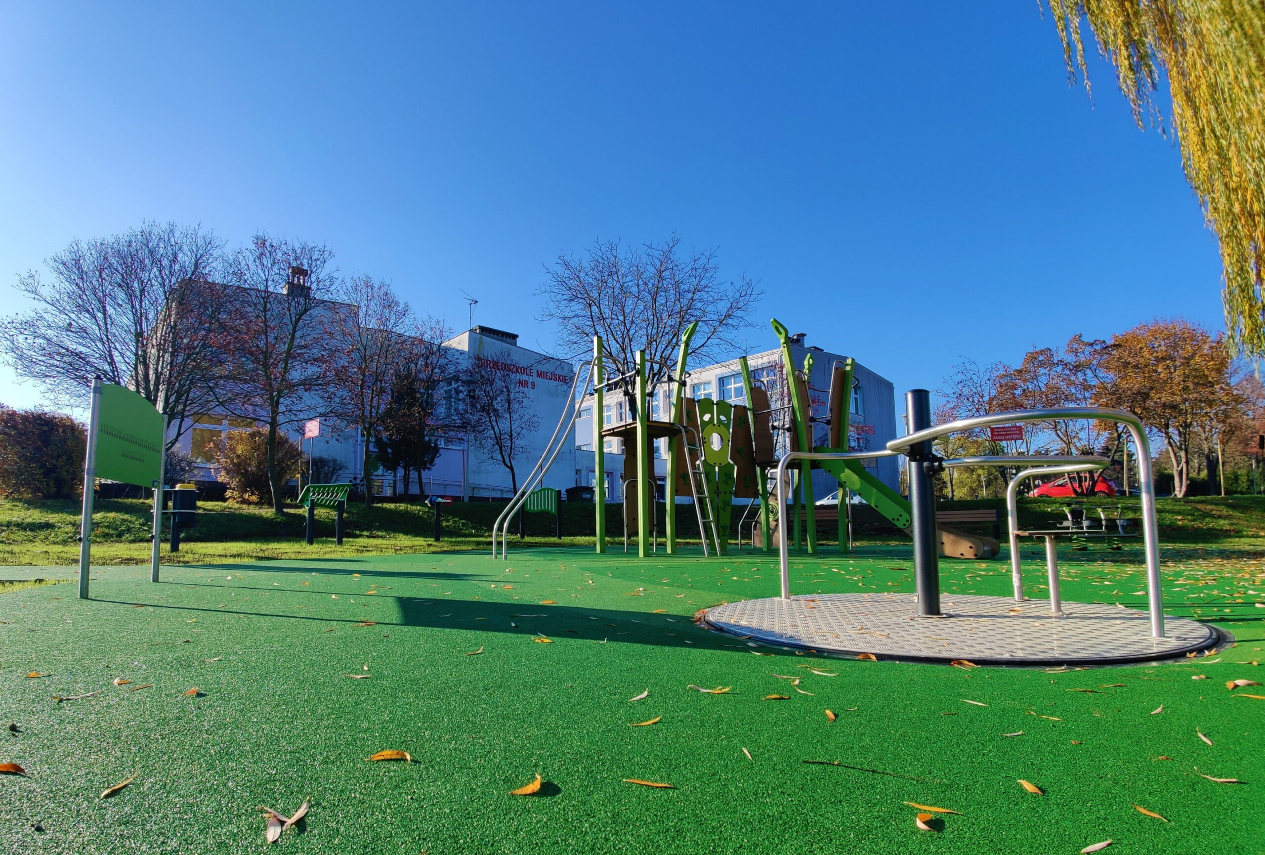 IMG_20221115_094625 IMG_20221115_094625