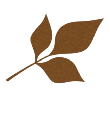 Liść fraxinus 2DR23