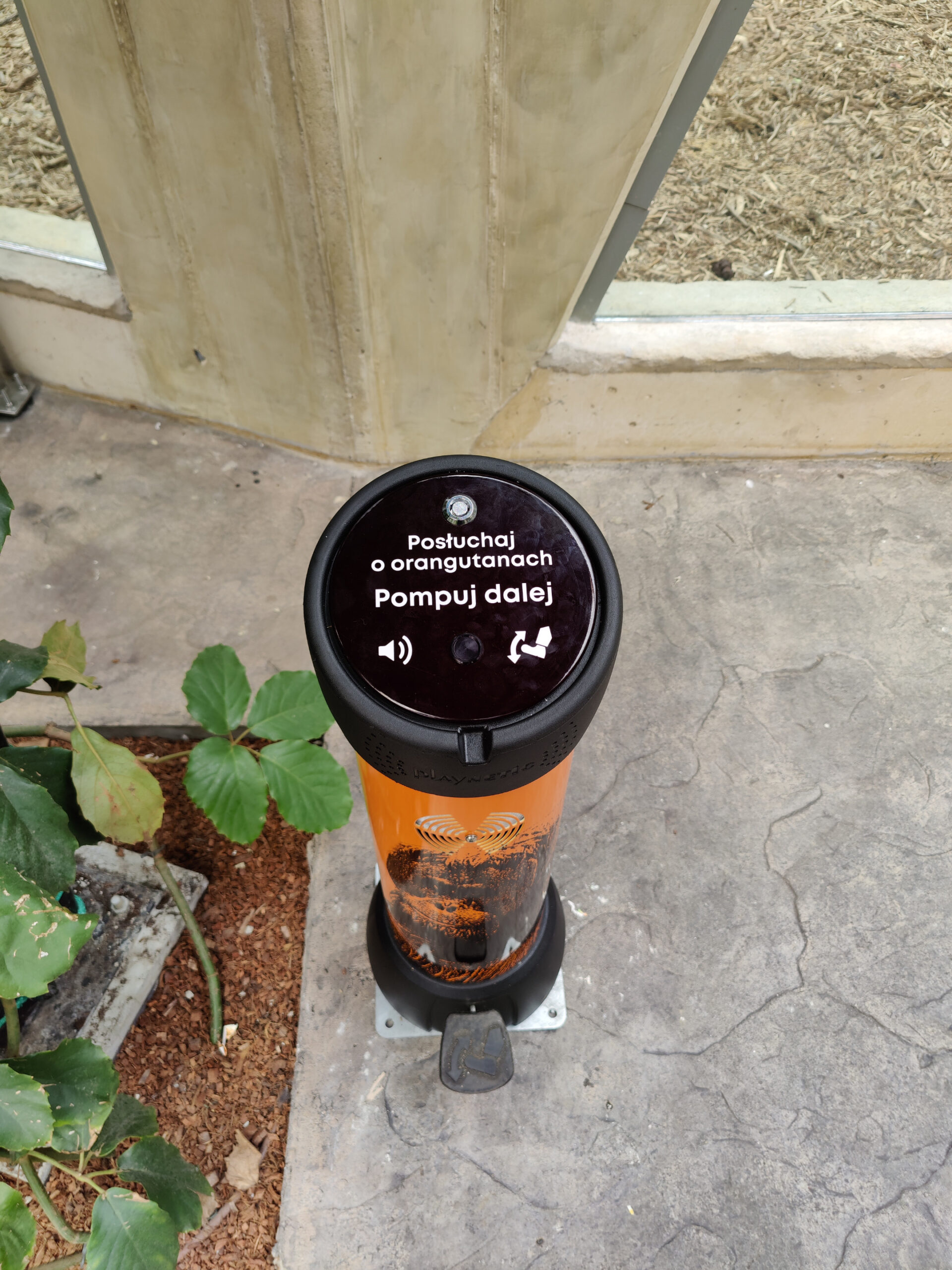 IMG_20220428_125444 IMG_20220428_125444