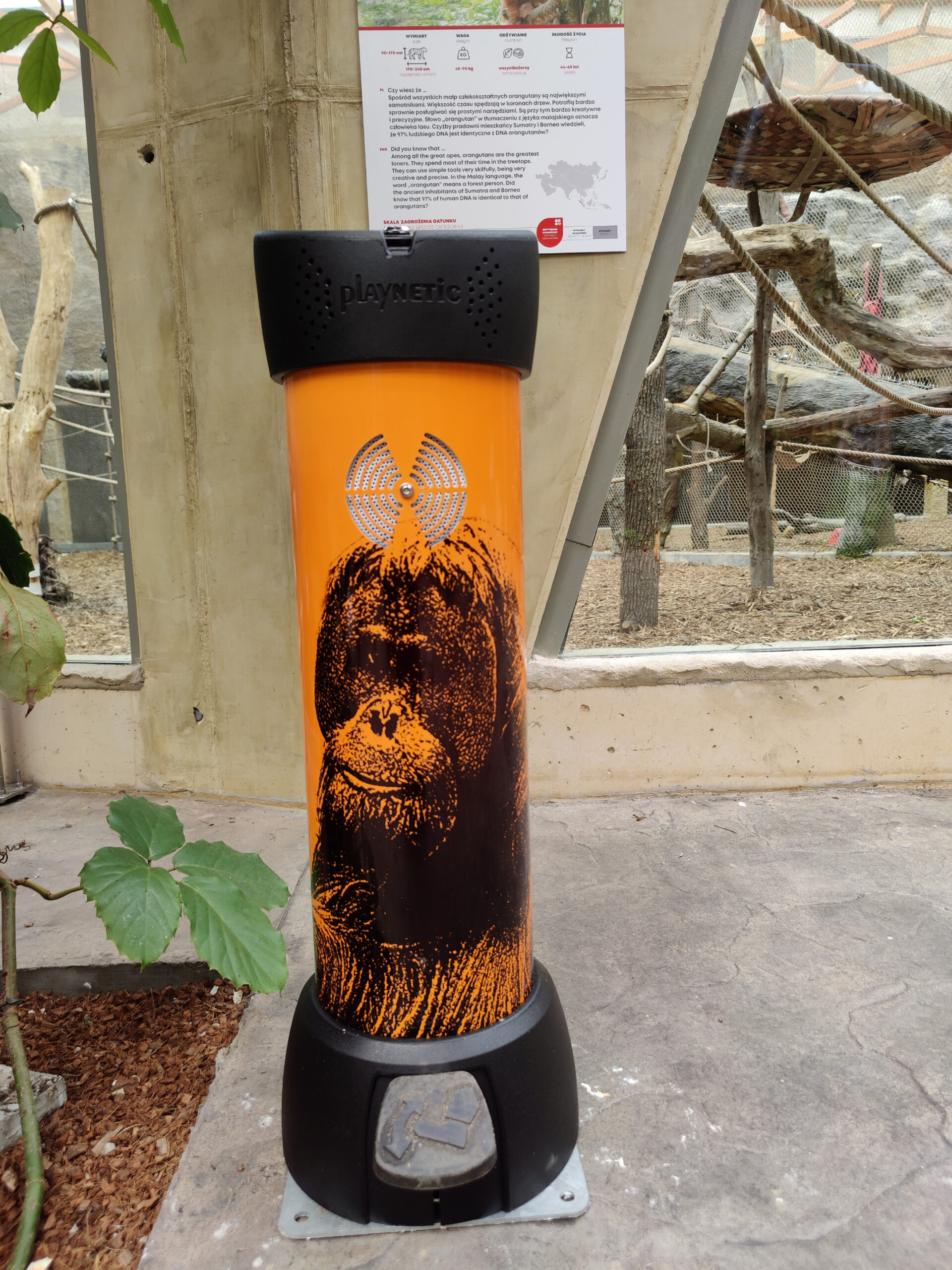 IMG_20220428_125525 IMG_20220428_125525