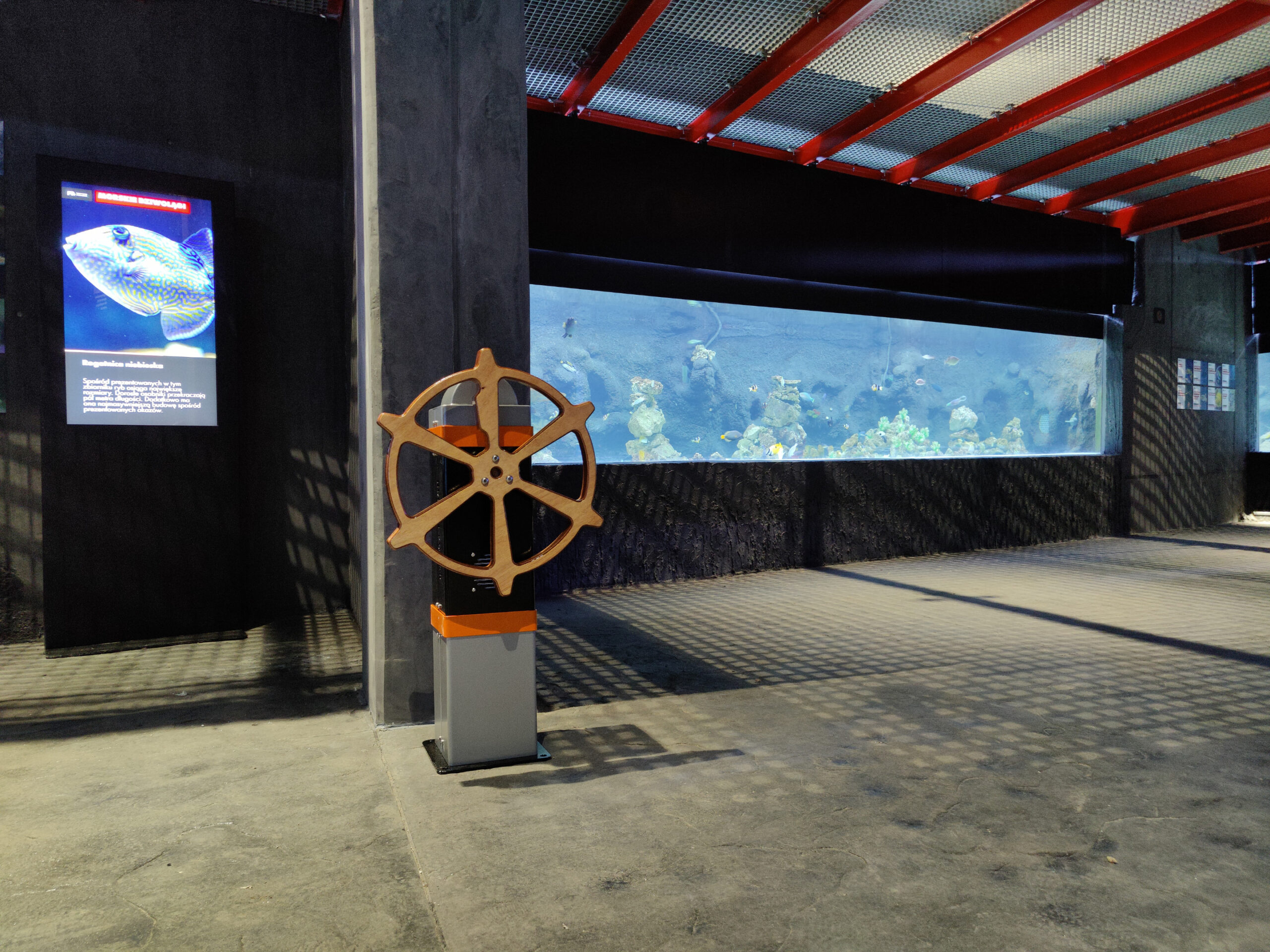 IMG_20220428_124655 IMG_20220428_124655