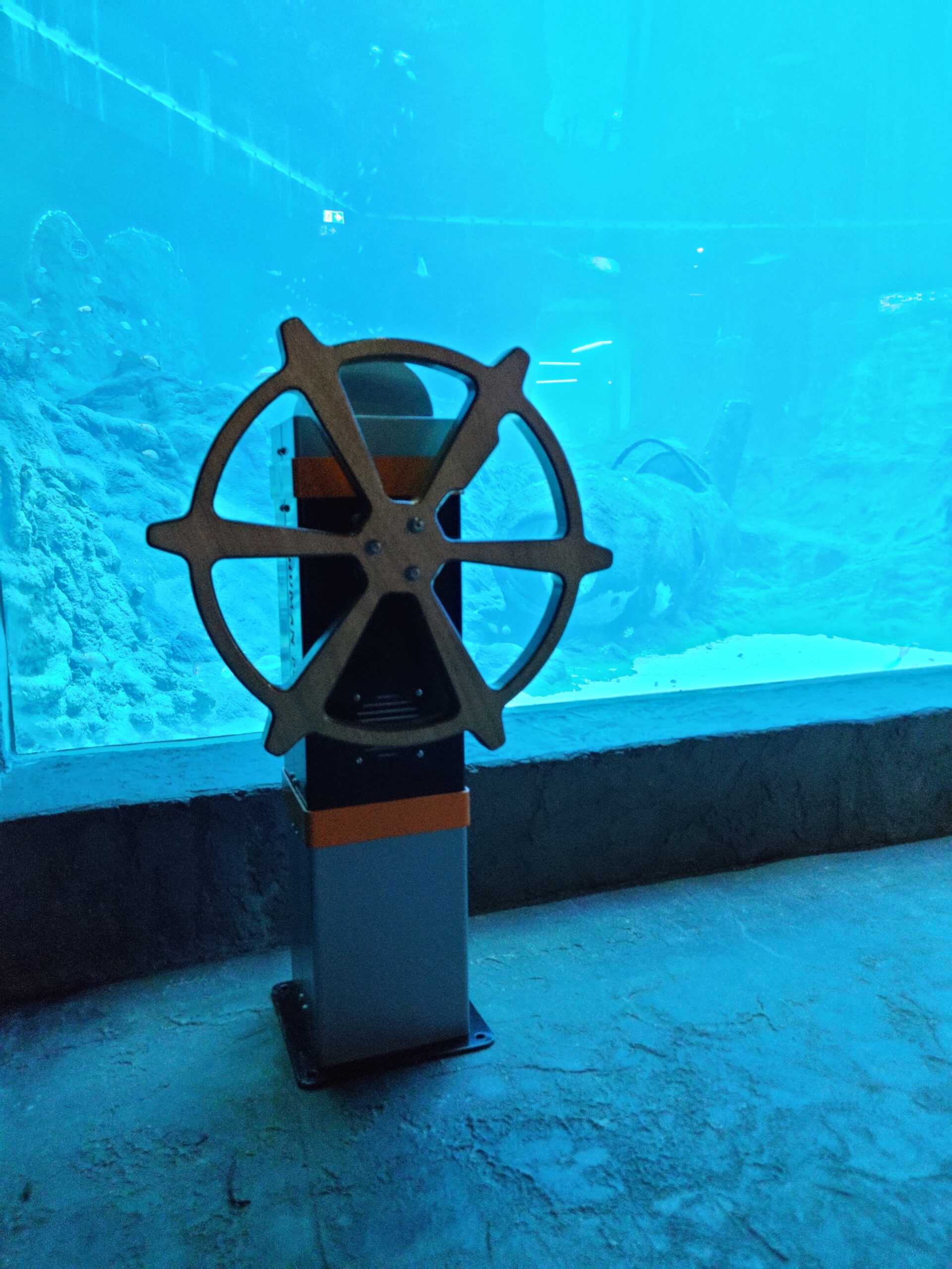 IMG_20220428_124817 IMG_20220428_124817