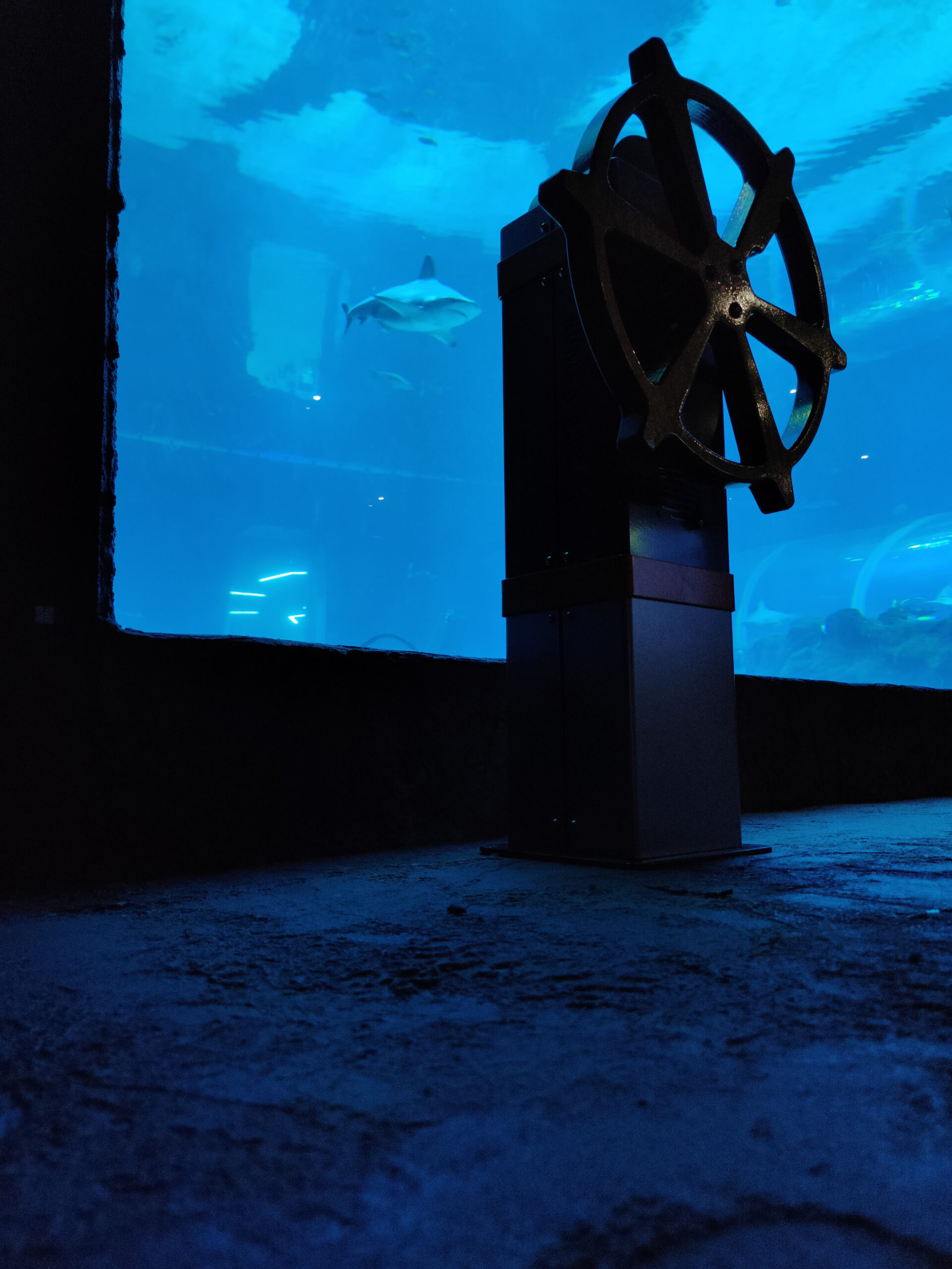 IMG_20220428_124847 IMG_20220428_124847