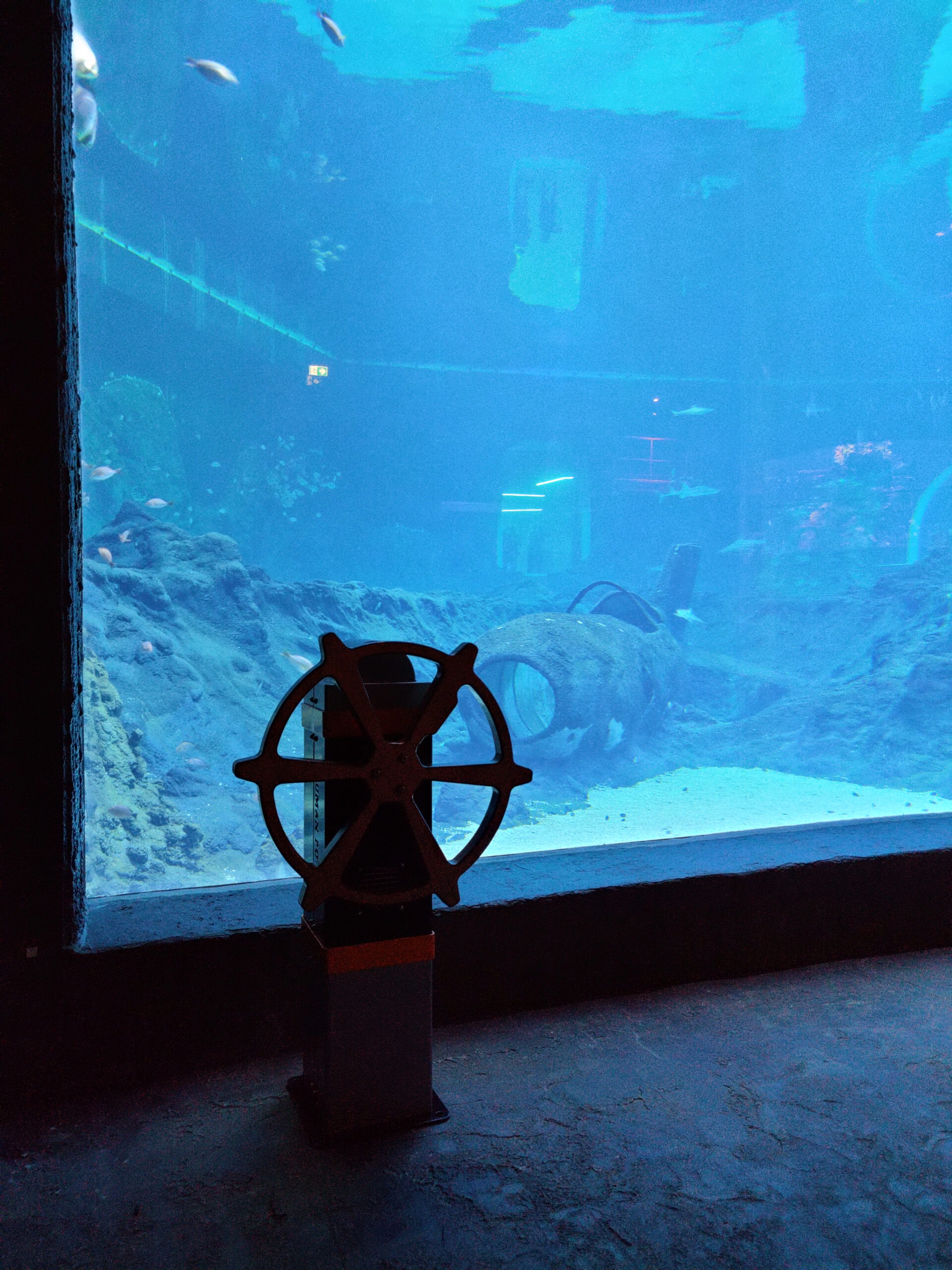 IMG_20220428_124929 IMG_20220428_124929