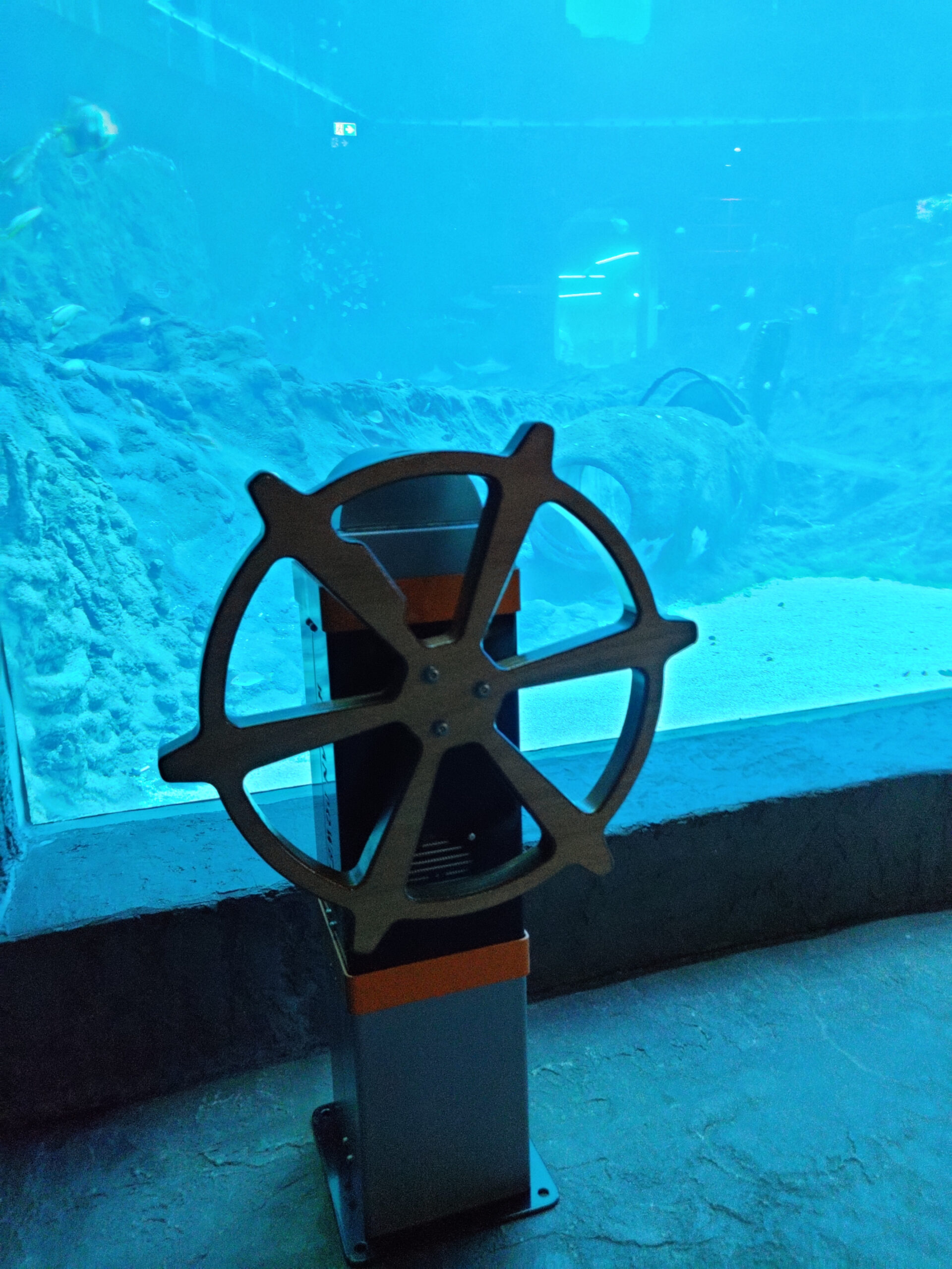 IMG_20220428_125247 IMG_20220428_125247