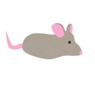 Figura do nawierzchni EPDM "myszka"