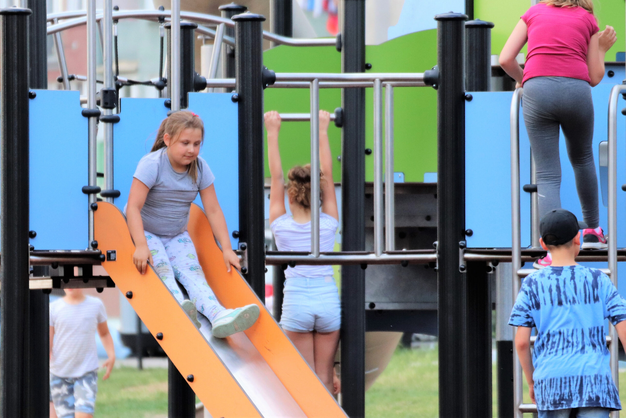 IMG_5835 (2) IMG_5835 (2)