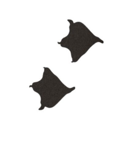 Ślady kaczki 2DT02 Ślady kaczki 2DT02