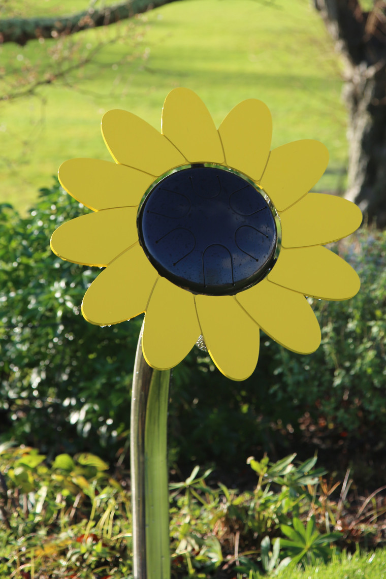 1053541418_760x1140-Sunflower-New-Size-_-No-Player-2