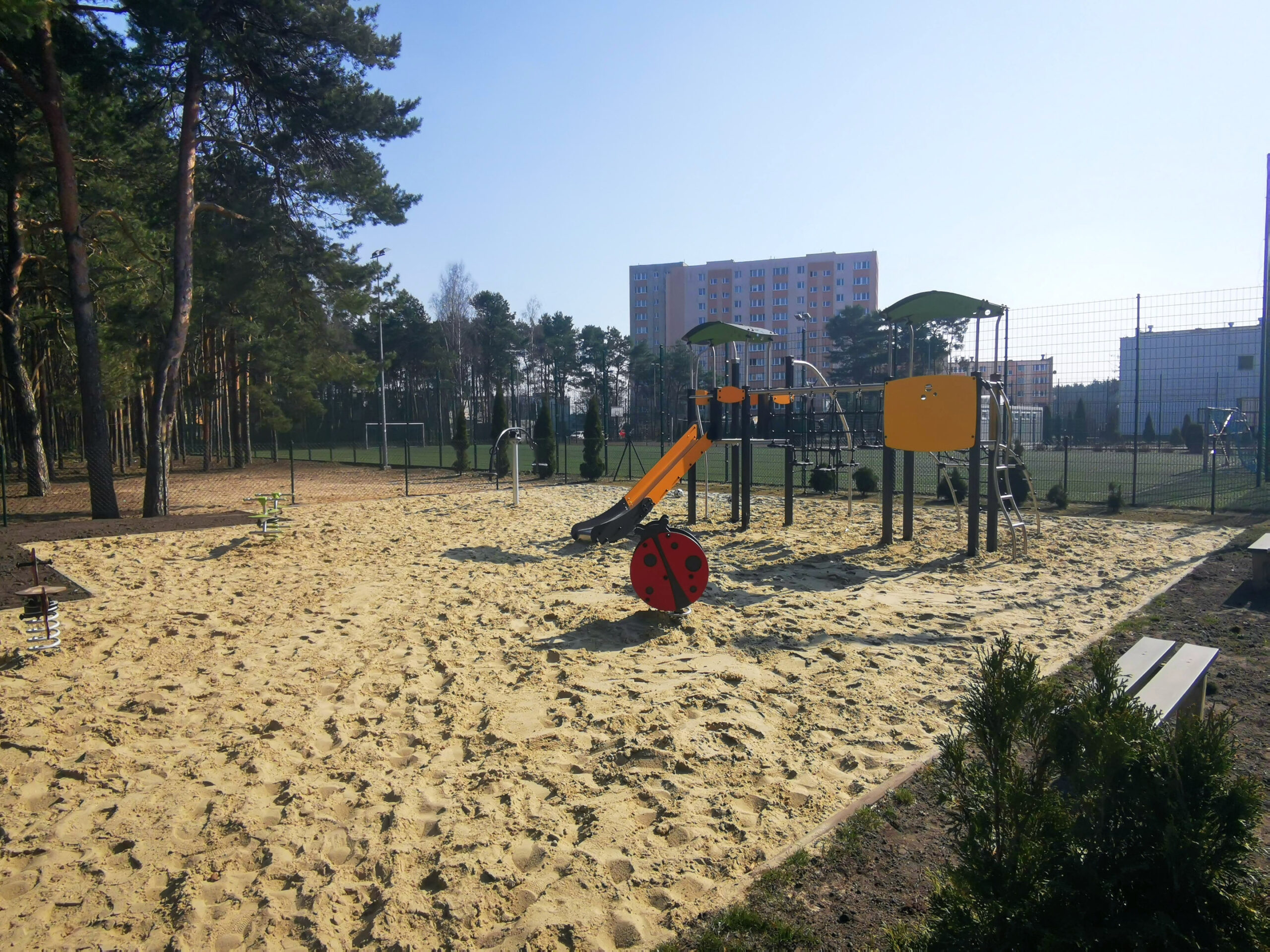 IMG_20220323_122945 IMG_20220323_122945