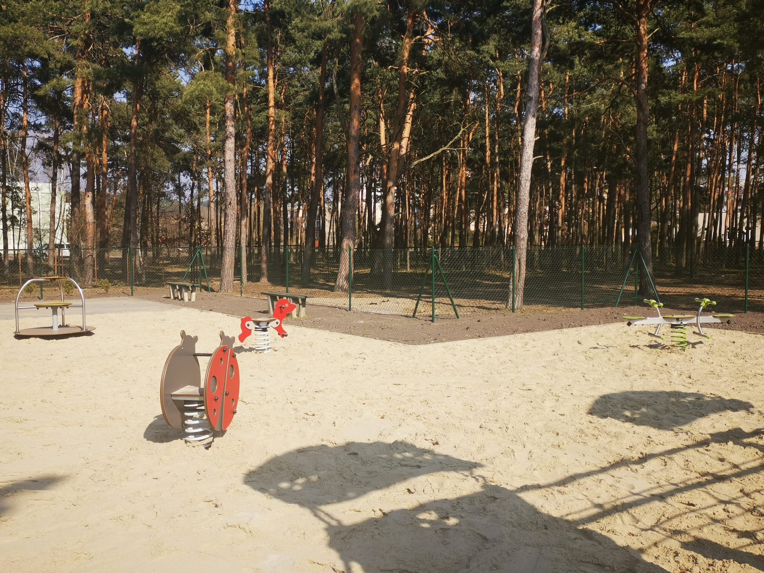 IMG_20220323_122434 IMG_20220323_122434