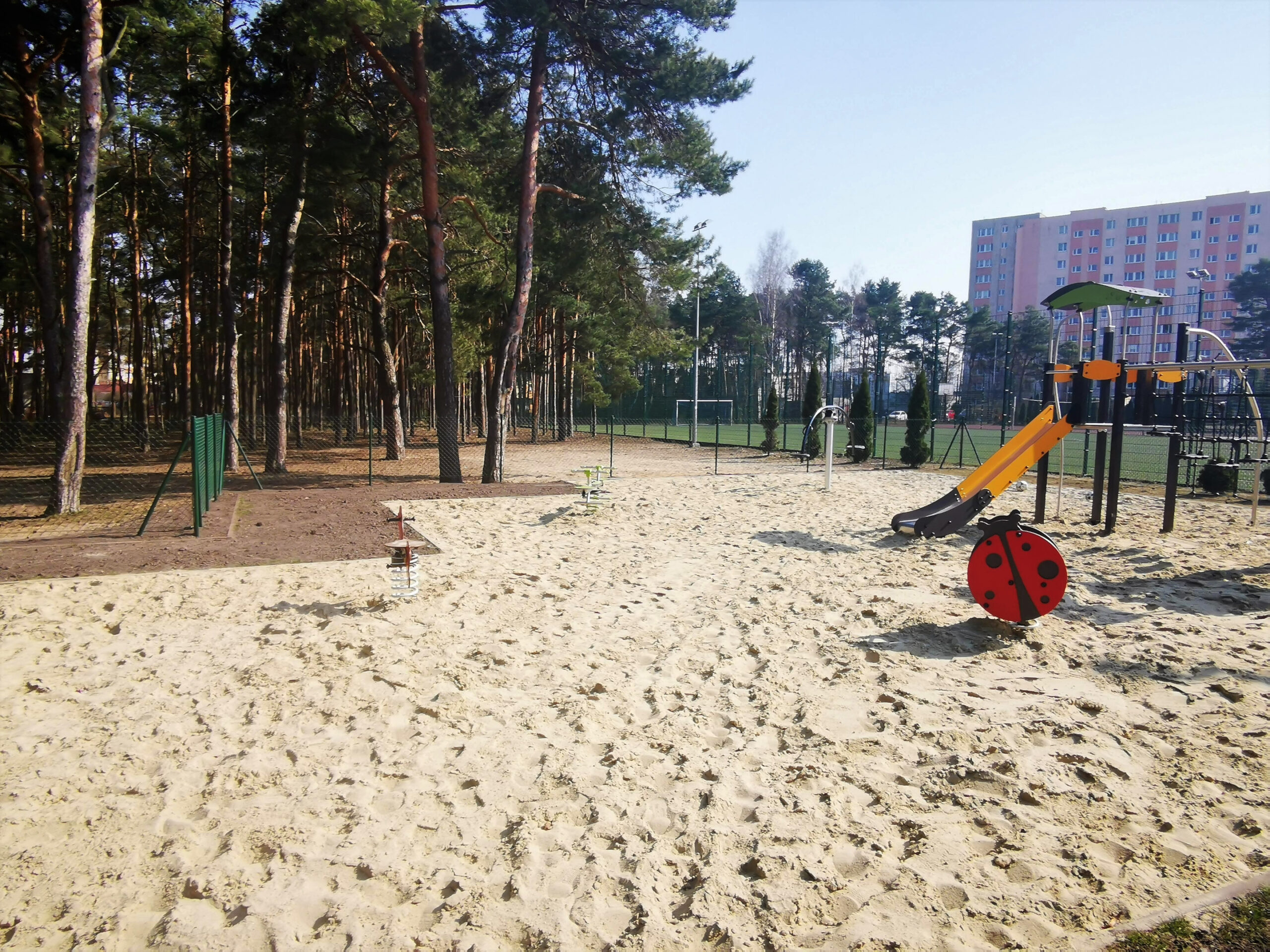 IMG_20220323_122942 IMG_20220323_122942