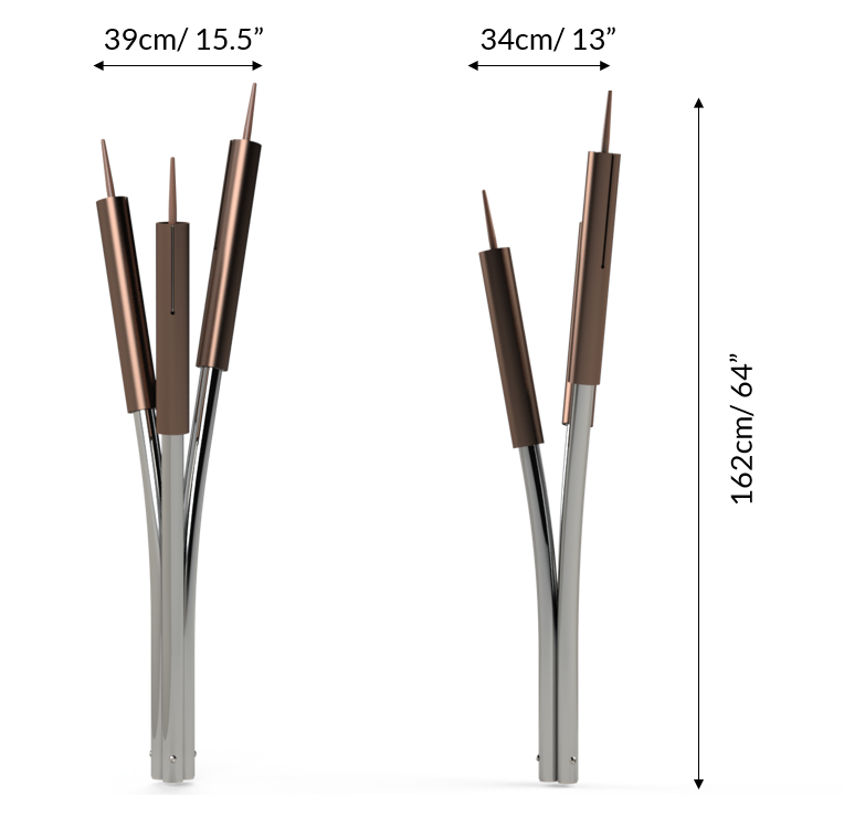 Cattails (3) C-Major Dimentions