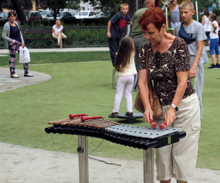 img_7009-2 img_7009-2